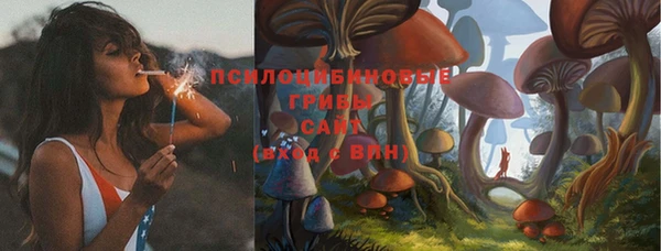 spice Елабуга