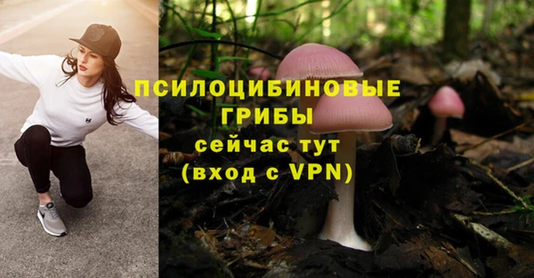 кокаин премиум Ельня
